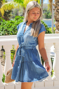 Dreaming Of Summer Ruffle Demin Dress - Blue