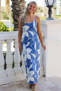 Z Supply: Cecily Madero Maxi Dress - Riviera