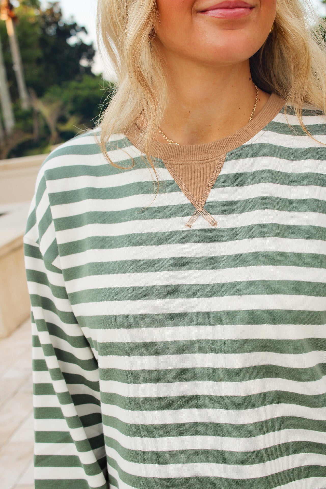Z Supply: Low Key Stripe Sweatshirt - Monstera