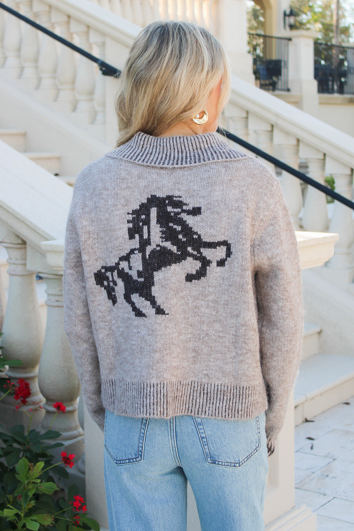 Untamed Spirit Embroidered  Sweater - Lt Brown
