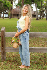 Dear John: Lasso Overall - Western Hue