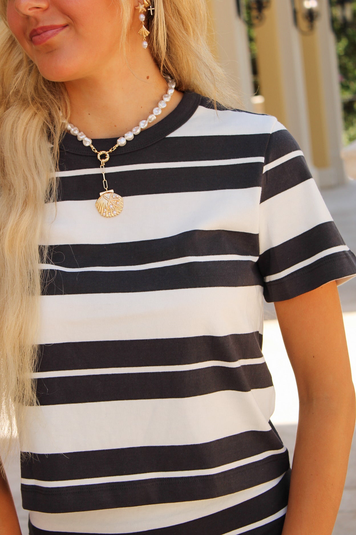 Z Supply: Stellan Striped Tee - Ash Black