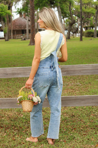 Dear John: Lasso Overall - Western Hue