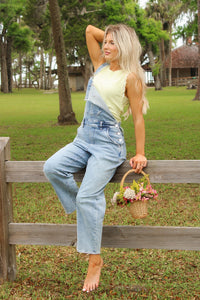 Dear John: Lasso Overall - Western Hue