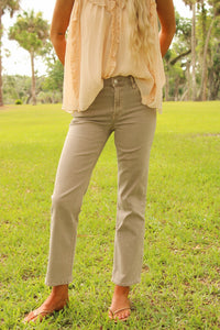 Dear John: Anika Straight Leg Jean - Mink