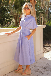 Blue Horizon Striped Pleated Midi Dress - Blue