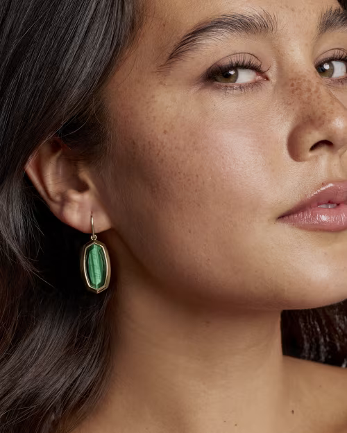 Kendra Scott: Dani Bezel Drop Gold Earrings - Tigers Eye